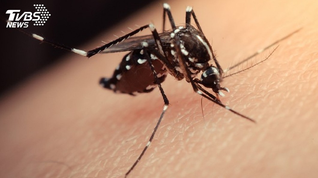 Tainan offers NT$1,000 rewards for dengue fever self-reports (Shutterstock) Tainan offers NT$1,000 rewards for dengue fever self-reports