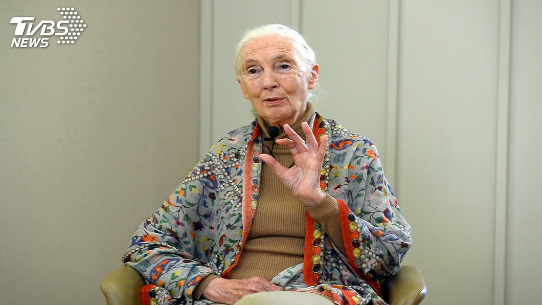 Delta, Goodall team up for coral education (TVBS News) Delta, Jane Goodall team up for coral restoration in Taiwan