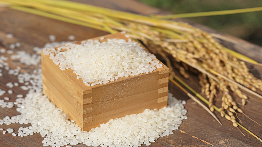Kaohsiung rice reaches South Africa (TPG PHOTO) Taiwan’s fragrant rice makes South African debut