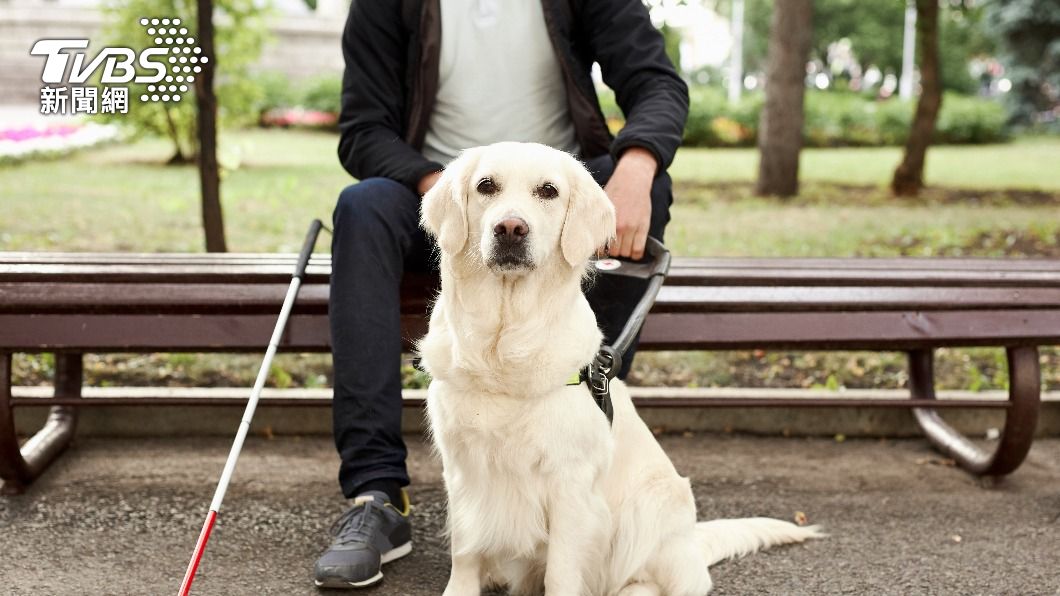 JINS, Taiwan Guide Dog Assoc. launch bandana set for charity (Shutterstock) JINS, guide dog association launch bandana set for charity