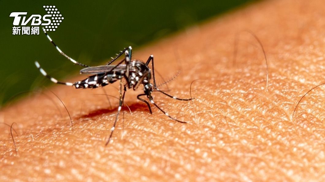 Chiayi reports first encephalitis case (Shutterstock) Japanese encephalitis case prompts health alert in Taiwan