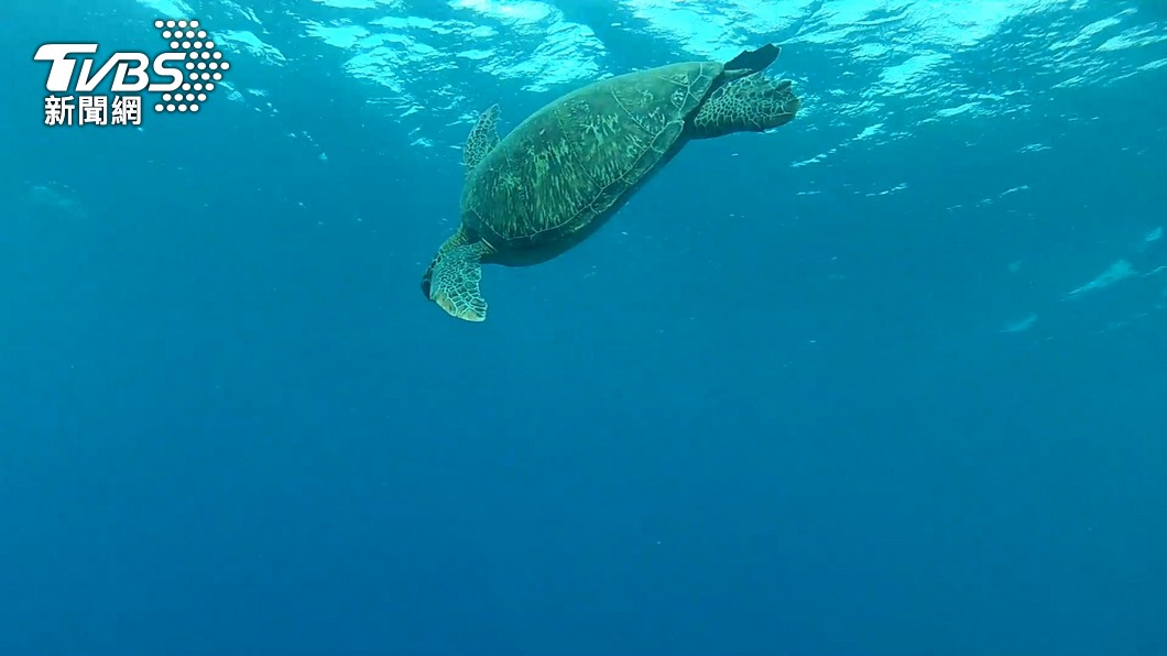 Taiwan to open marine conservation education center in July (TVBS News) Taiwan to open marine conservation education center in July