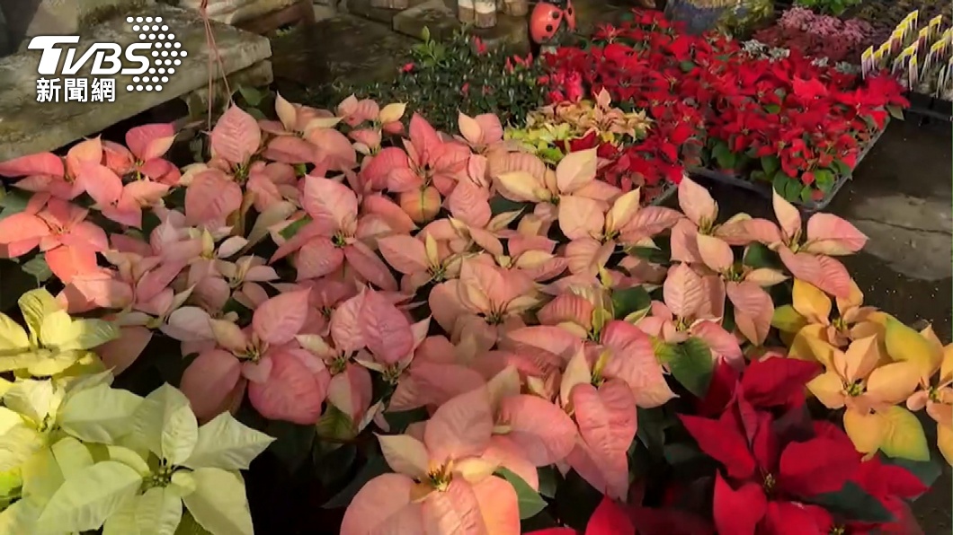 Pingtung hosts floral exhibition event (TVBS News) Taiwan county offers farm-direct flowers for Mother’s Day