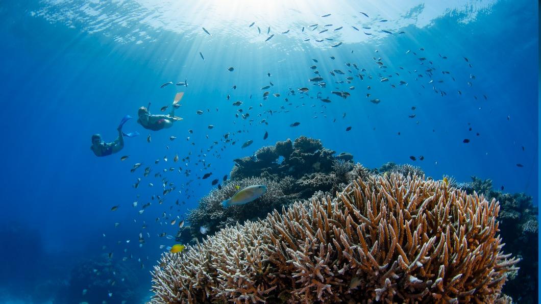 Executive director Michael Branagh remarked that tourists are now looking for more sustainable travels. (Photo courtesy of Tourism and Events Queensland)