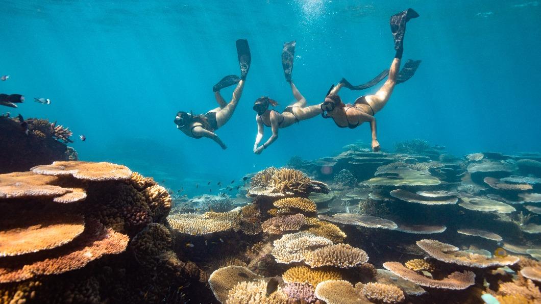 Access fees received for visiting the Great Barrier Reefs help in preserving the natural wonder. (Photo courtesy of Tourism and Events Queensland)