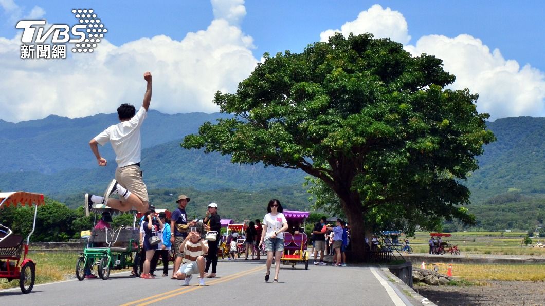 台東知名地標「金城武樹」。（圖／中央社） Tree of Takeshi Kaneshiro captures beauty of local culture