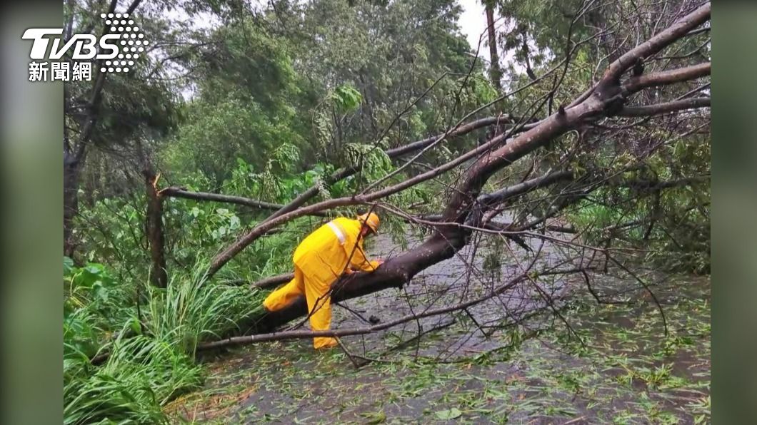 Typhoon Haikui causes widespread power outages in Kaohsiung (TVBS News) Typhoon Haikui causes power outages in Kaohsiung 