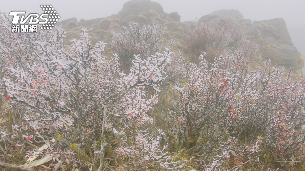 Yushan records -6.6 degrees Celcius amid dense fog (TVBS News) Yushan records -6.6 degrees Celcius amid dense fog