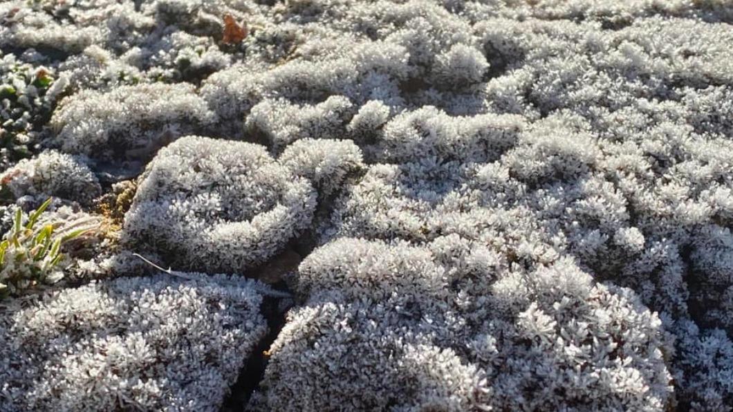 Frost hits Mount Jade North Peak (Courtesy of Cheng Ming-dean’s FB) Frost hits Mt. Jade North Peak at minus 4.2°C