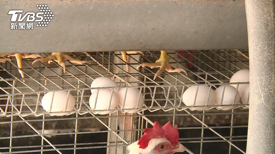 Taipei city egg prices drop post-Lunar New Year glut (TVBS News) Taipei city egg prices drop post-Lunar New Year glut