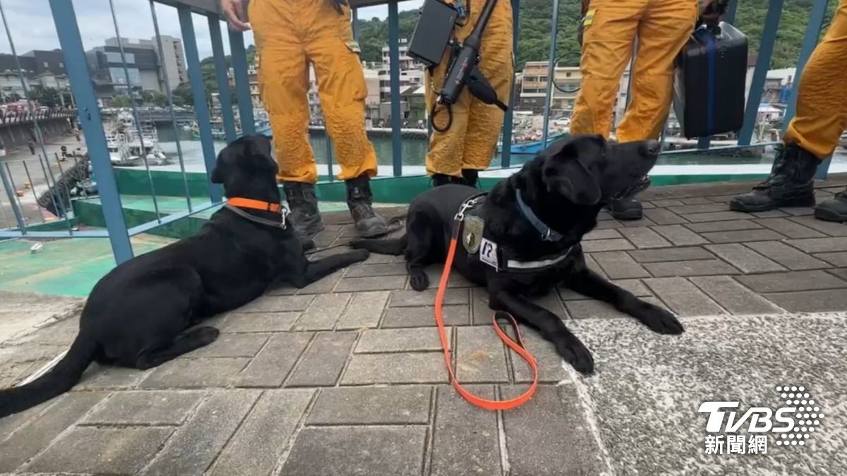 Swift rescue operation follows Keelung park landslide (TVBS News) Swift rescue operation follows Keelung park landslide