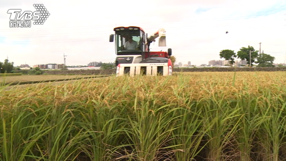 Typhoon Kong-rey causes NT$9.51M in agricultural losses (TVBS News) Typhoon Kong-rey causes NT$9.51M in agricultural losses