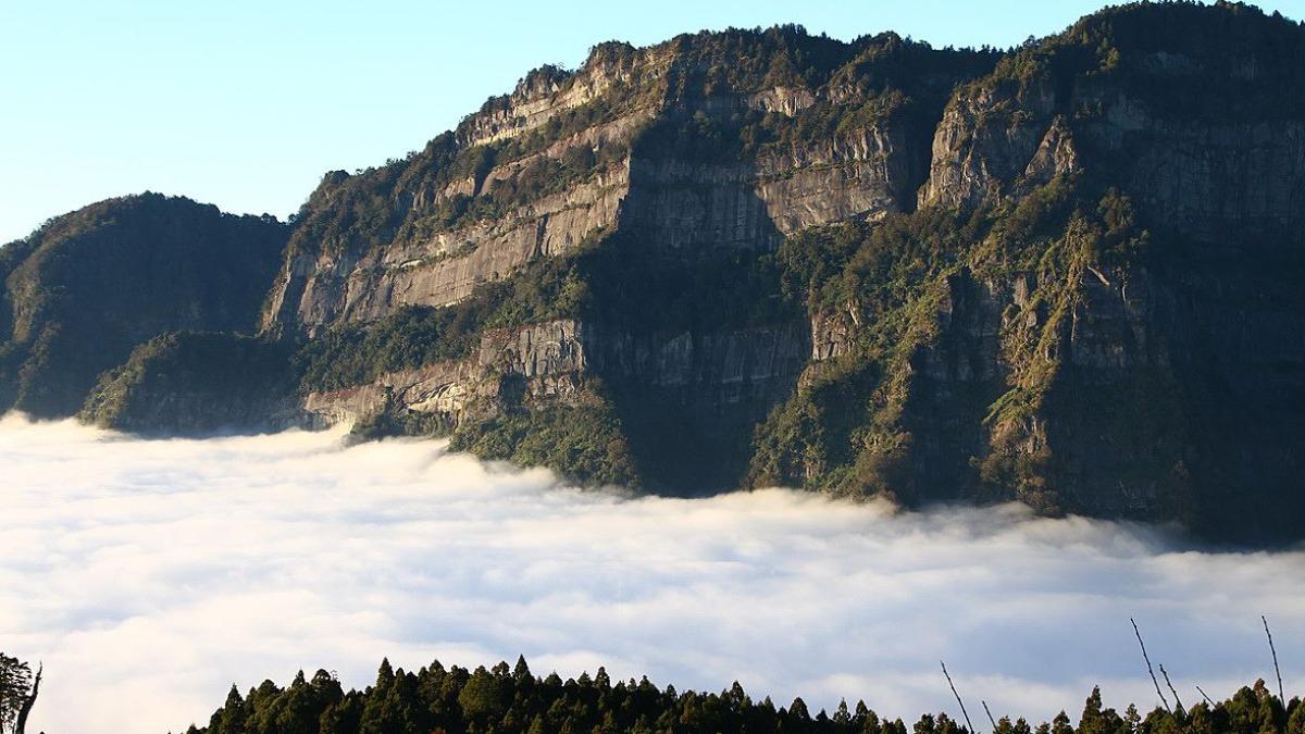 Taiwan launches program to protect biodiversity on private land (Courtesy of Forestry and Nature Con Taiwan launches new land certification for biodiversity