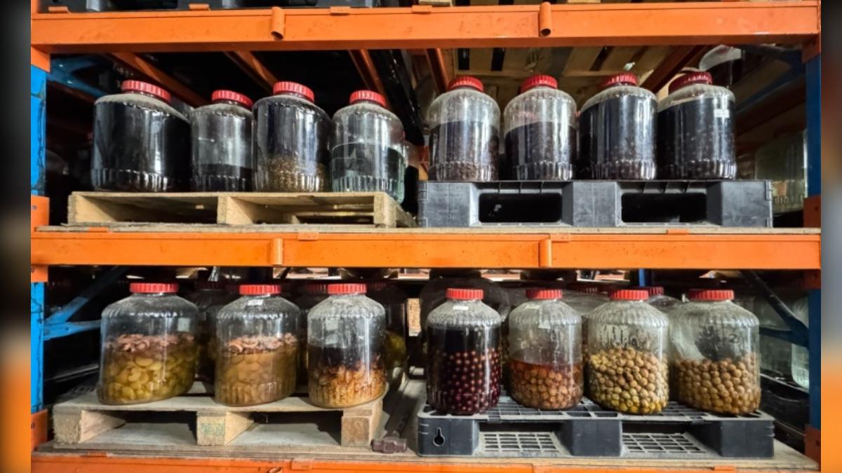 Taiwanese distiller wins 33 medals with sweet potato liquor (Courtesy of Global Views)