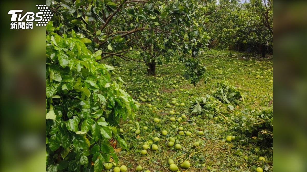 Typhoon Danas hits Tainan, devastates agriculture