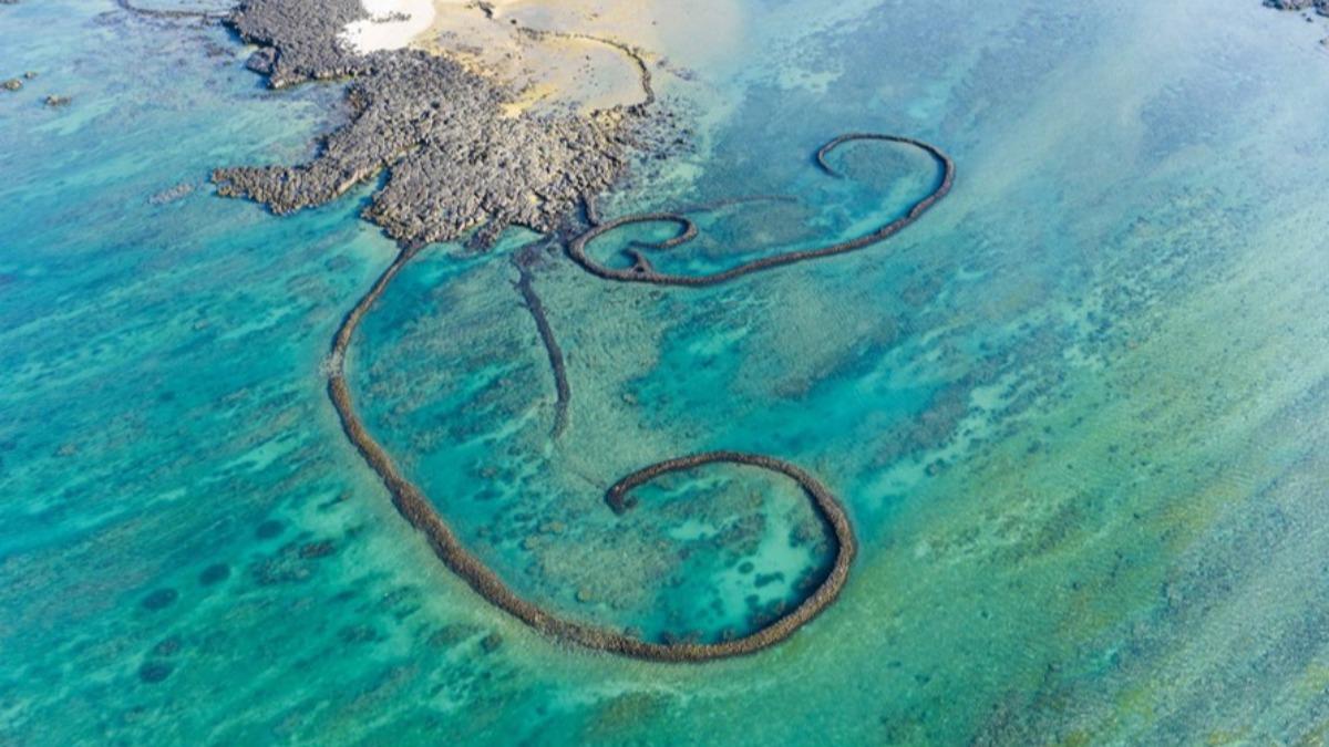 台灣3國家風景區獲國際綠色旅遊認證 展永續實力