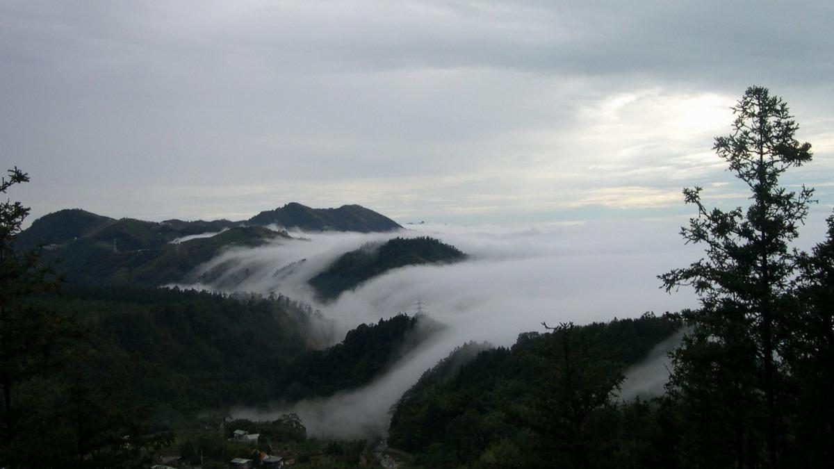 Forest agency cuts ticket prices for October holiday (Courtesy of Forestry and Nature Conservation A 13 forest areas slash ticket prices for National Day holiday